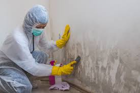 Mold Remediation for Vacation Homes in Bristol, TN